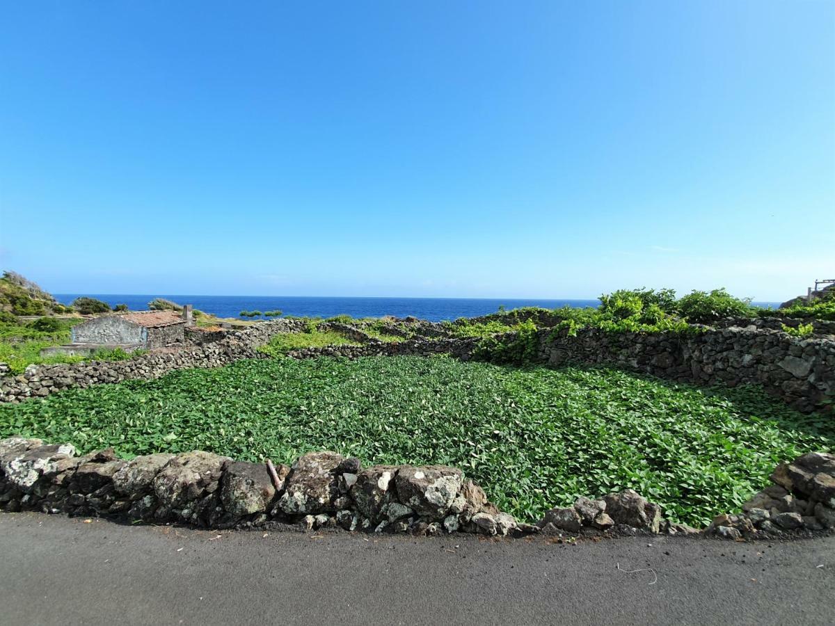 Casinha De Nesquim Villa Calheta de Nesquim Exterior photo